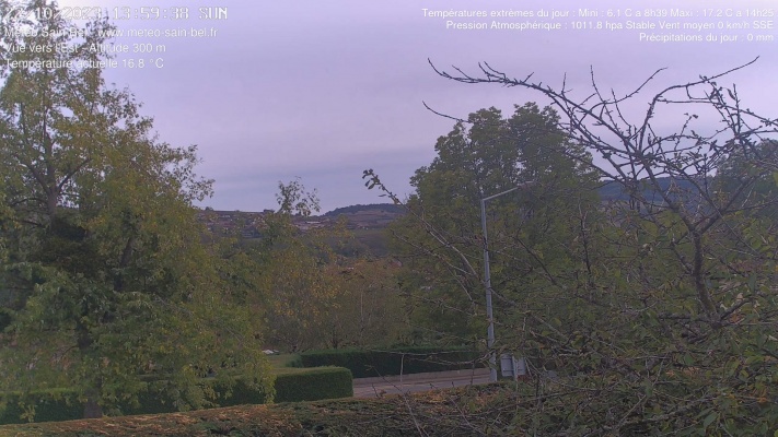 WebCam - 11