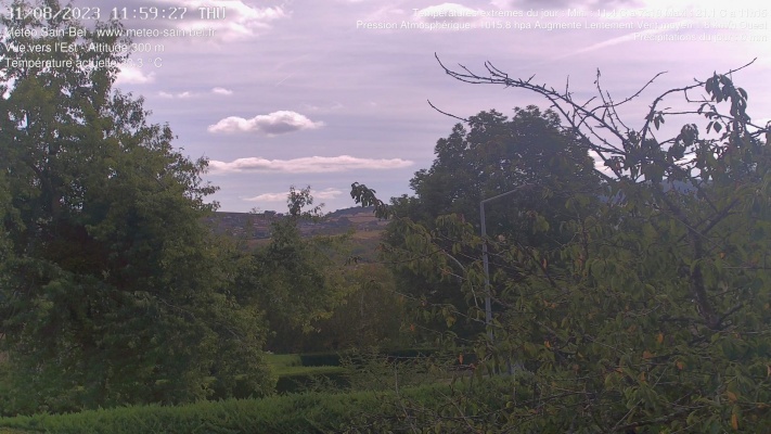 WebCam - 204