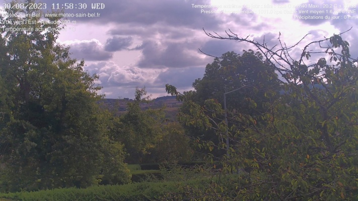 WebCam - 208
