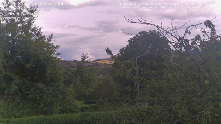 WebCam - 214