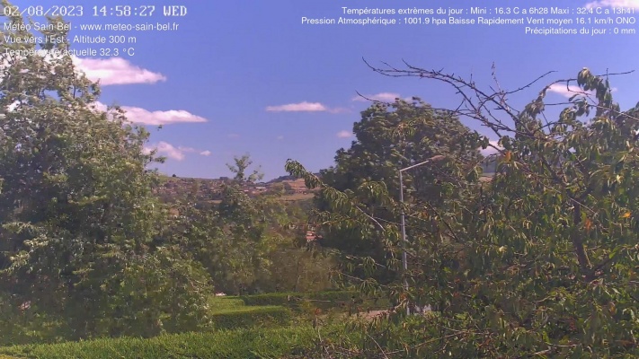 WebCam - 316