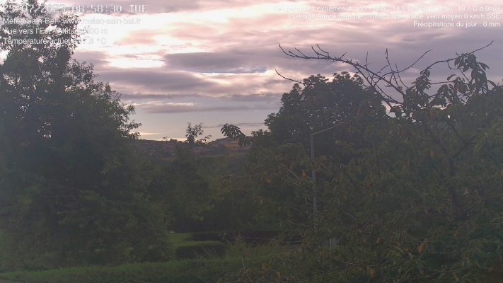 WebCam - 350