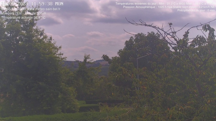 WebCam - 409