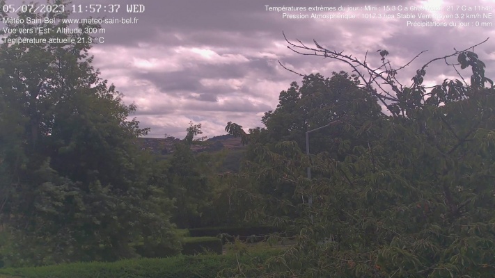 WebCam - 429