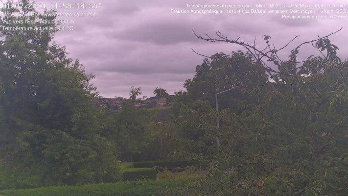 WebCam - 445