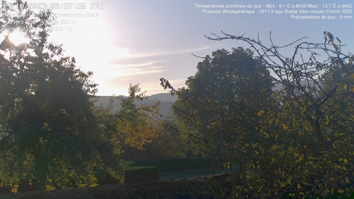 WebCam - 46