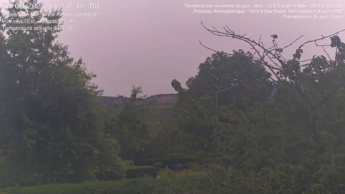 WebCam - 461