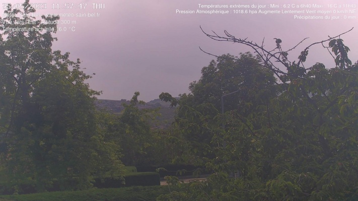 WebCam - 590