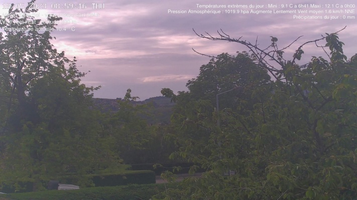 WebCam - 619