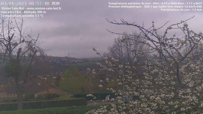 WebCam - 799