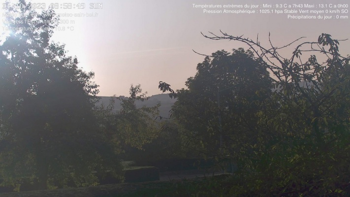WebCam - 81