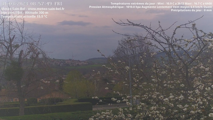 WebCam - 811