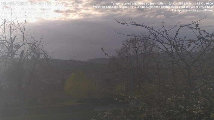 WebCam - 815