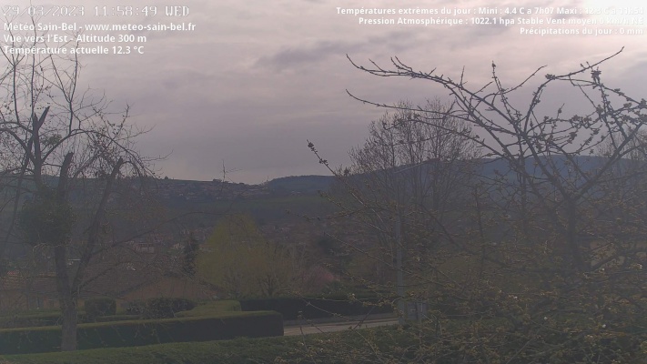 WebCam - 818