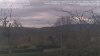 WebCam Image - Fri, 03/24/2023 11:59am CET