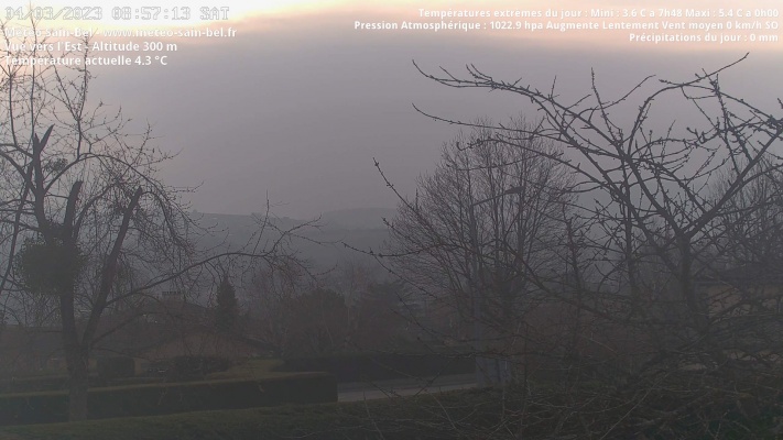 WebCam - 919